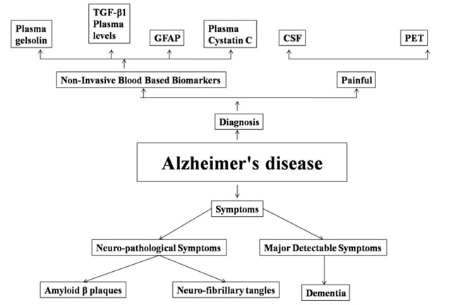 Potential Plasma Biomarkers for Diagnosis of Alzheimer’s Disease: An Overview 